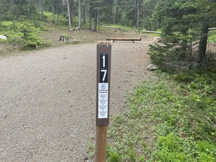 17