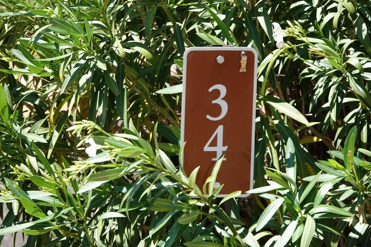 Site 34
