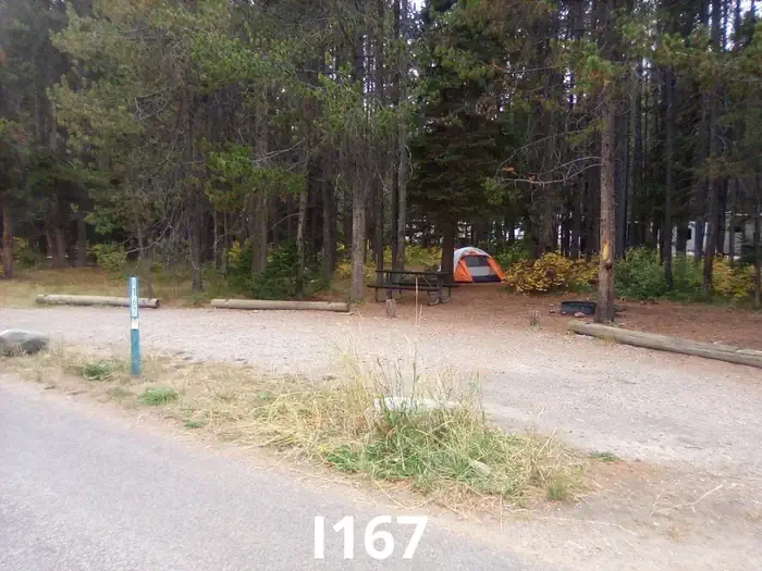 167