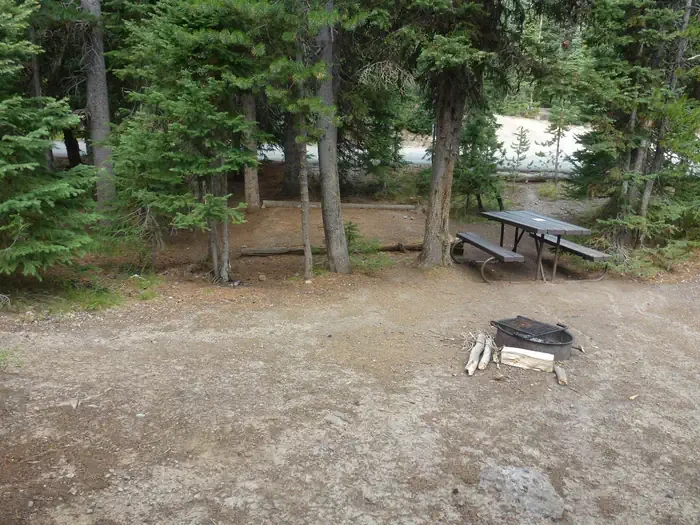 Lewis Lake site #19
