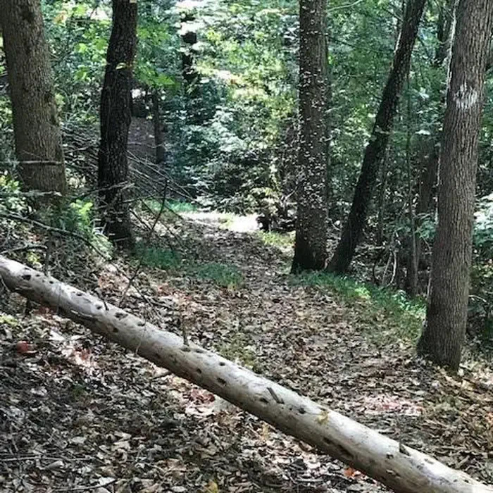 Hoosier National Forest