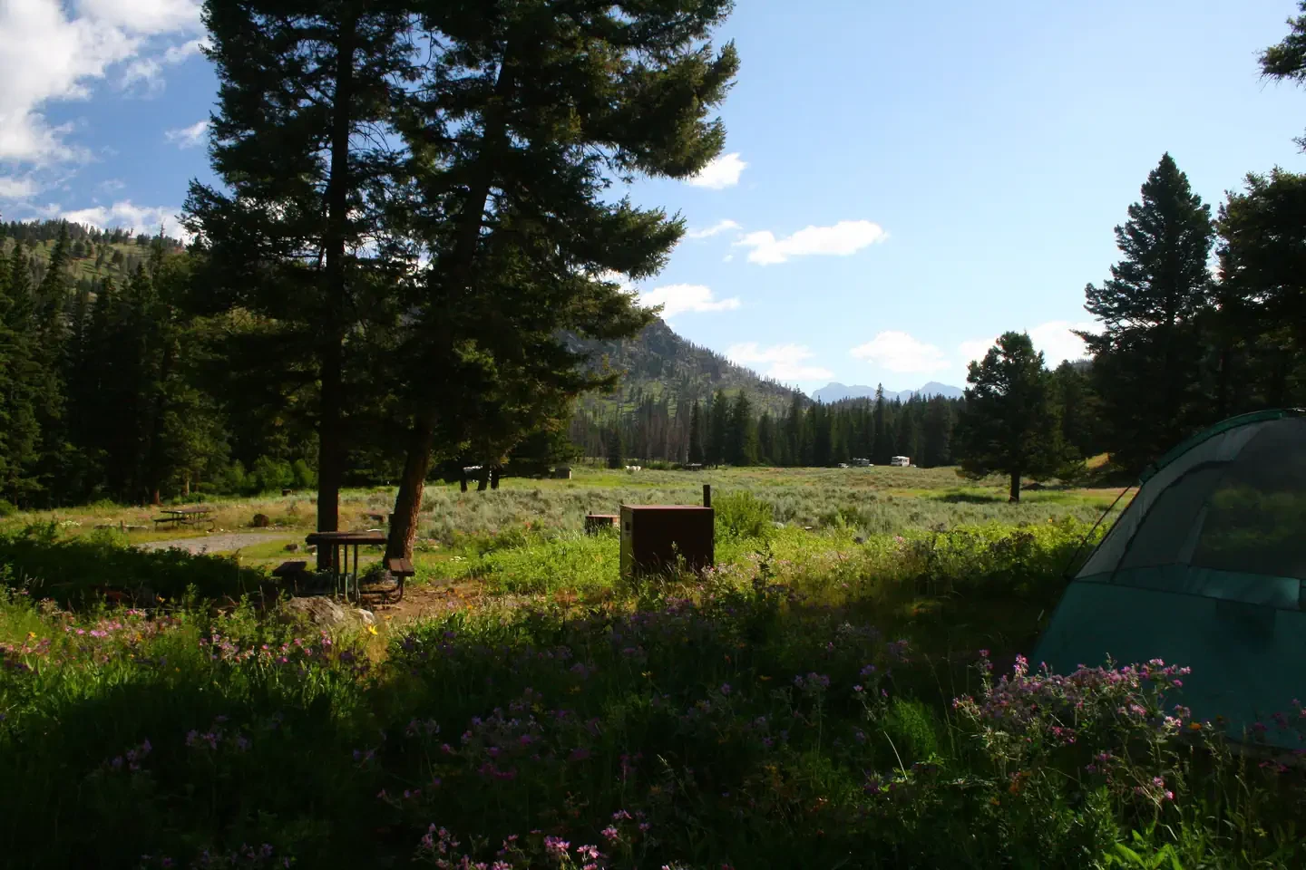 Slough Creek site #14