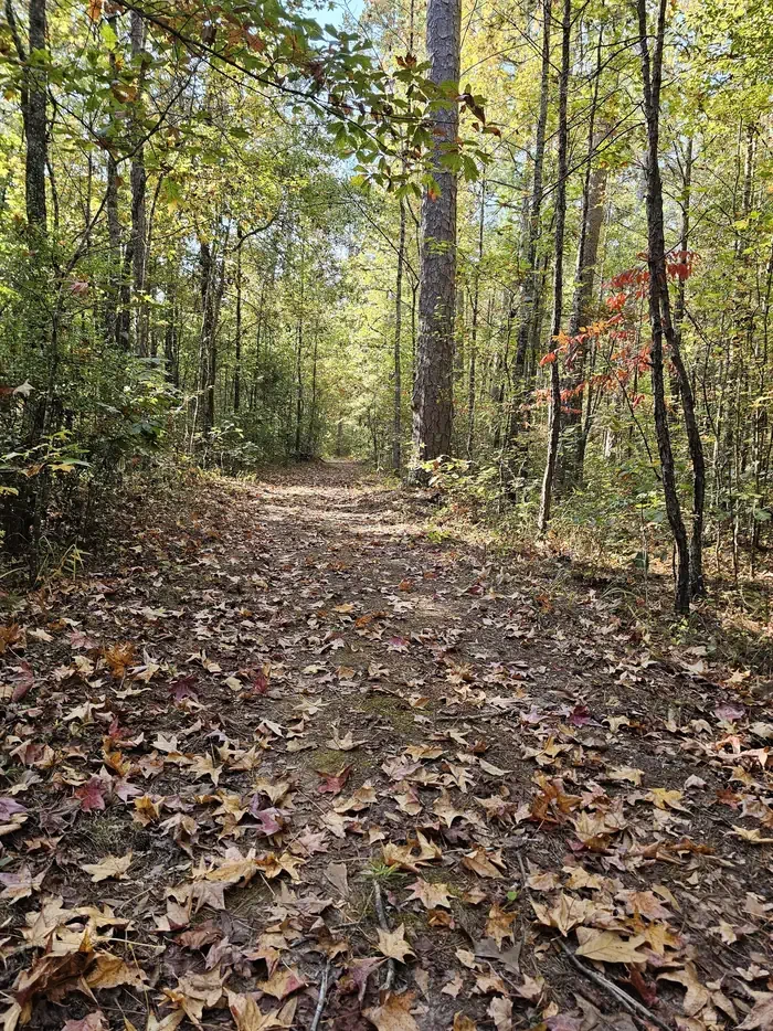 Davis Lake Campground