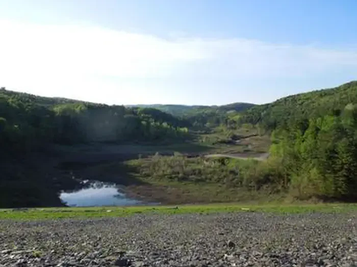 Union Village Dam Picnic Area (vt)