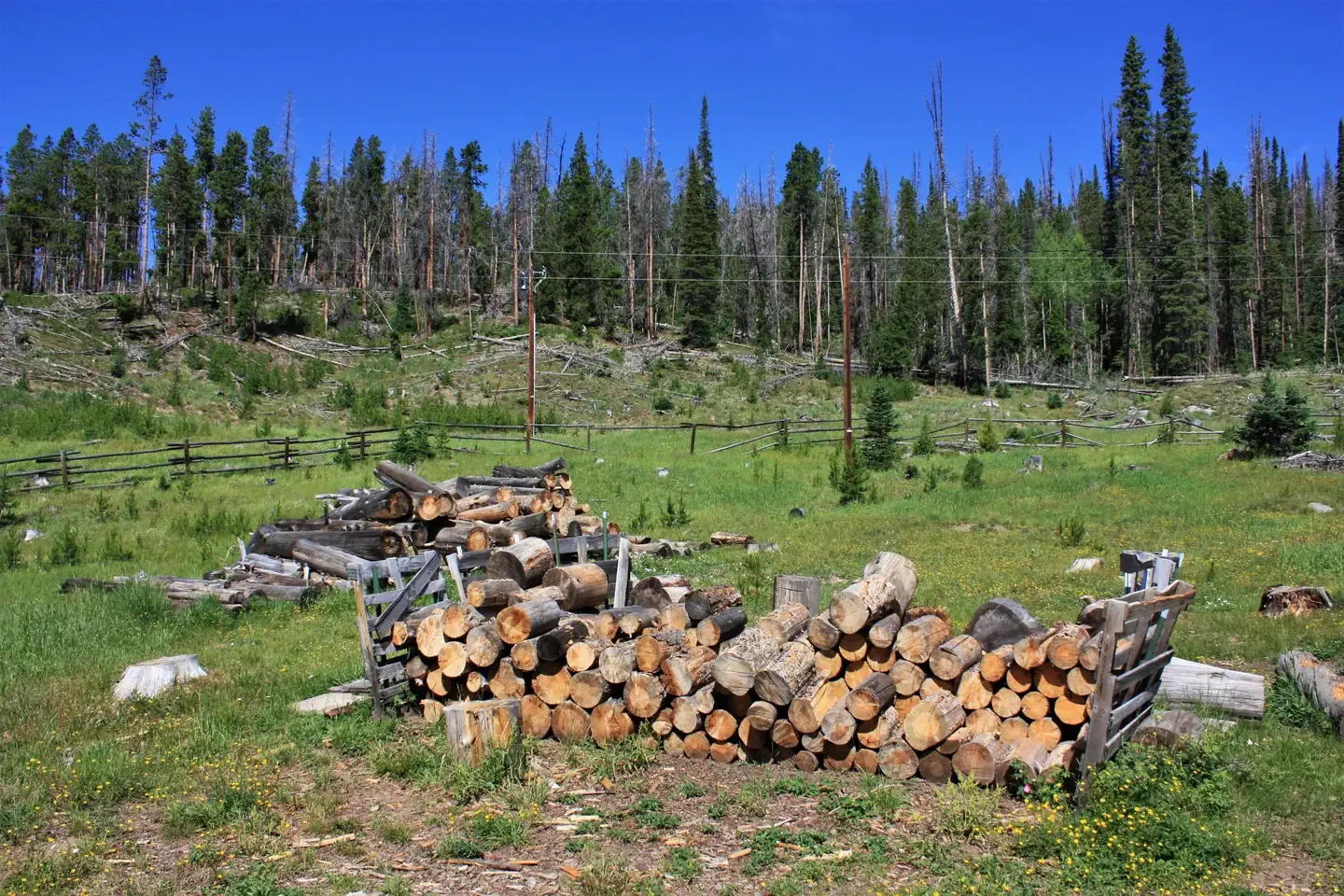 Keystone Ranger Station