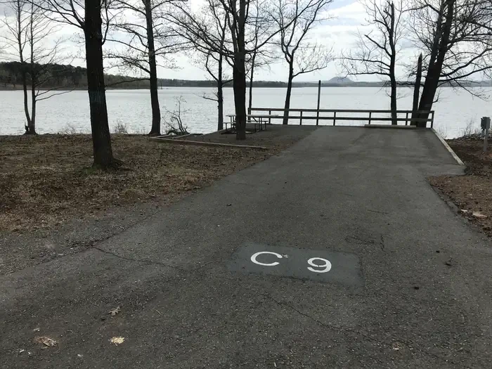 C09