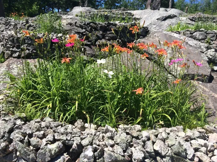 Ellsworth Rock Gardens Tour and Eagle Watch
