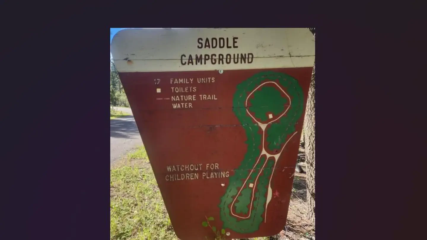 Saddle (NM)