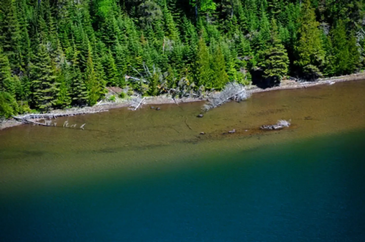 Duncan Bay Campground