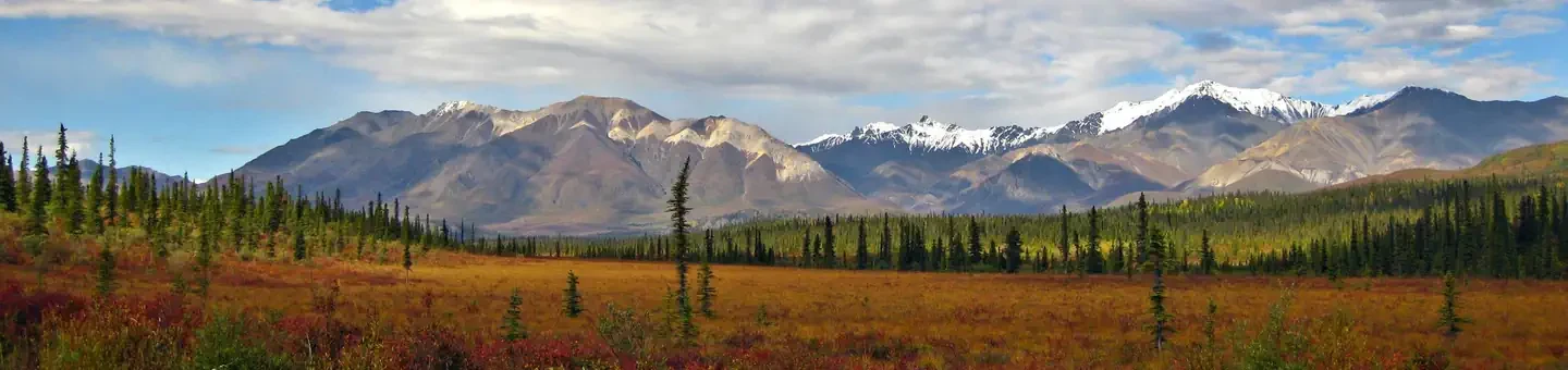 Wrangell - St Elias National Park & Preserve