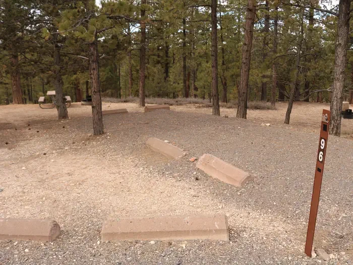 096