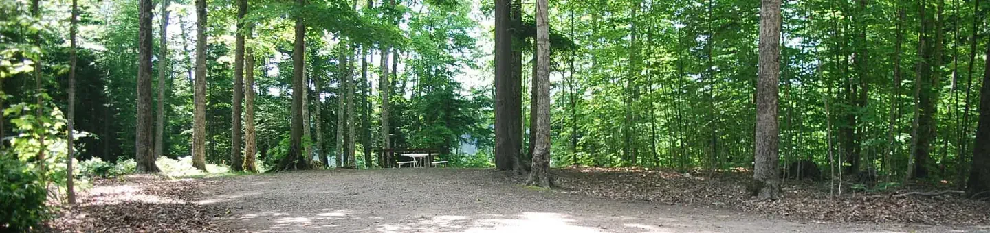 6A