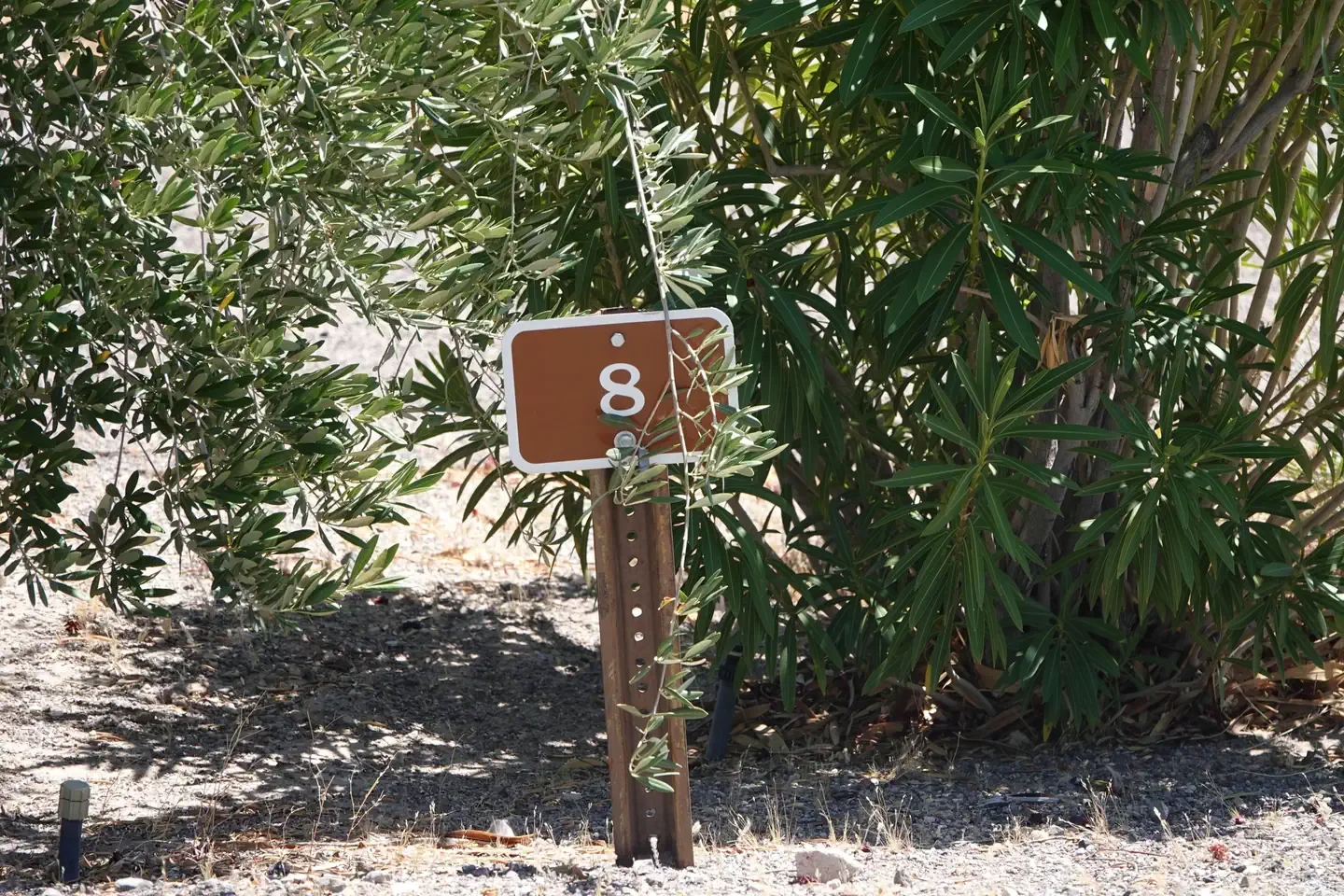 Site 8