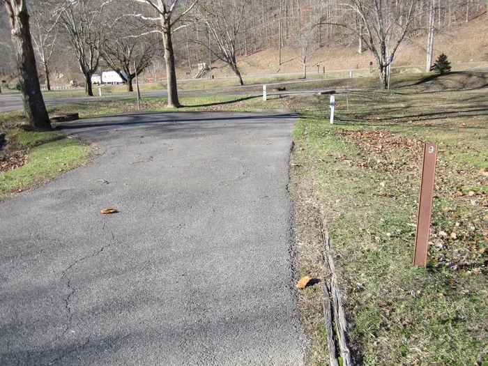 009