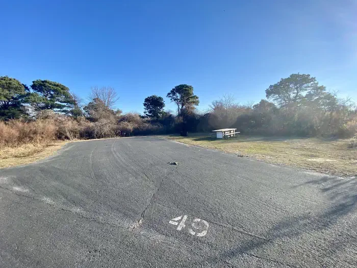 C49