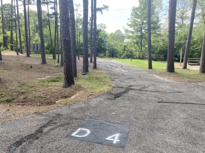 D04