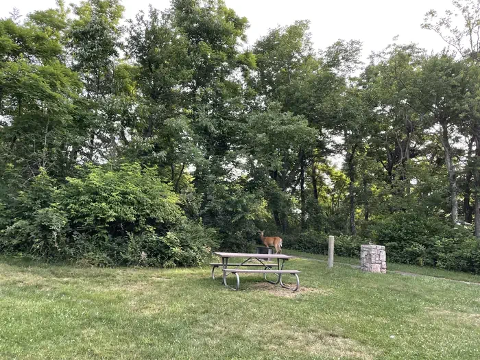 D126