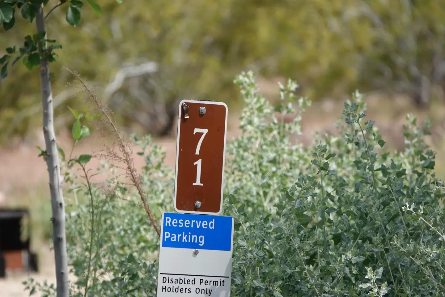 Site 71