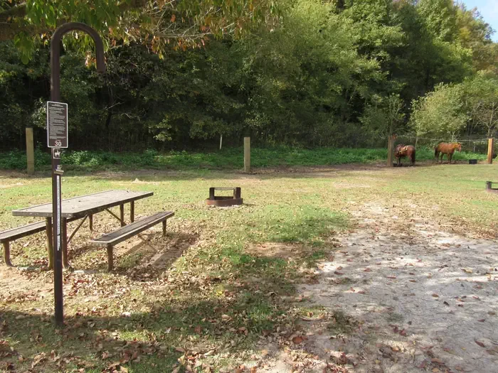 30 - Horse Site