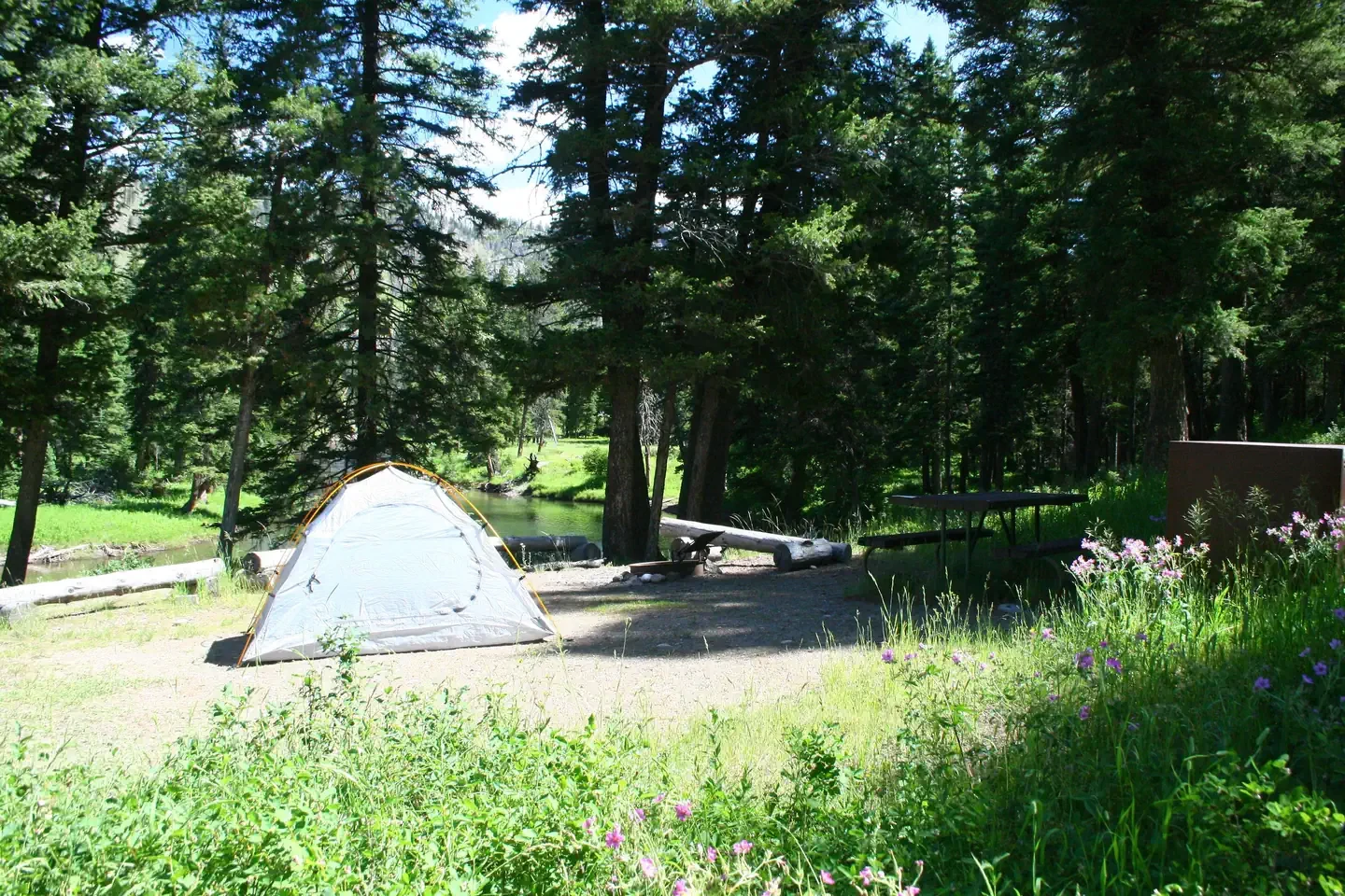 Slough Creek site #1