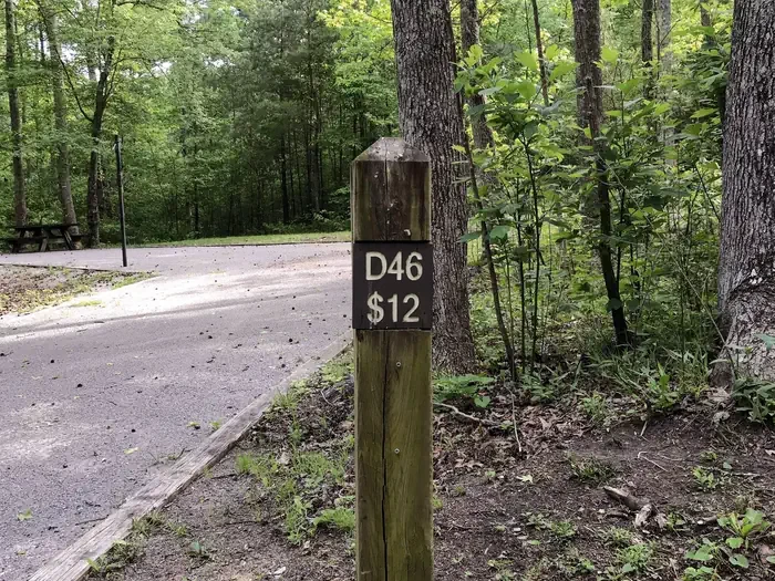 46