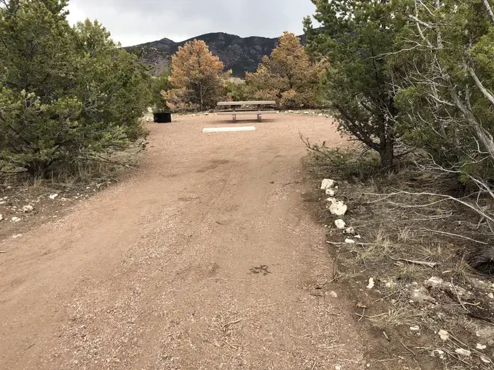 B-21