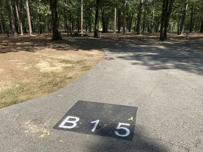 B15