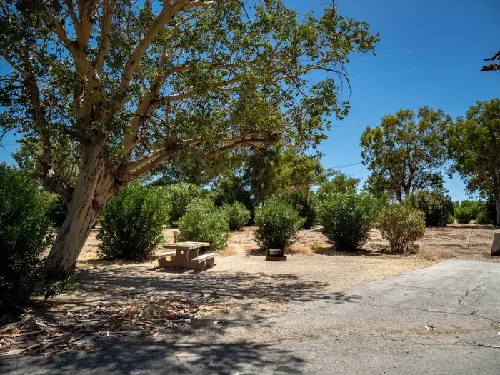 Site 31