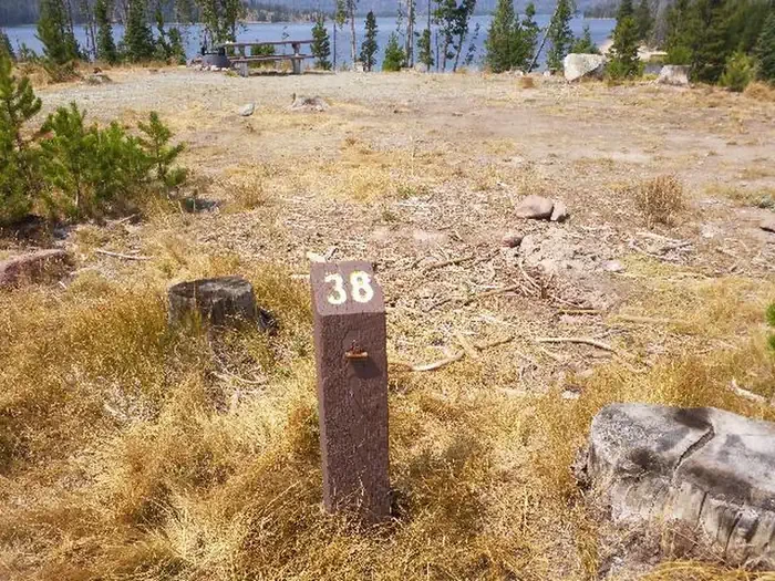 038