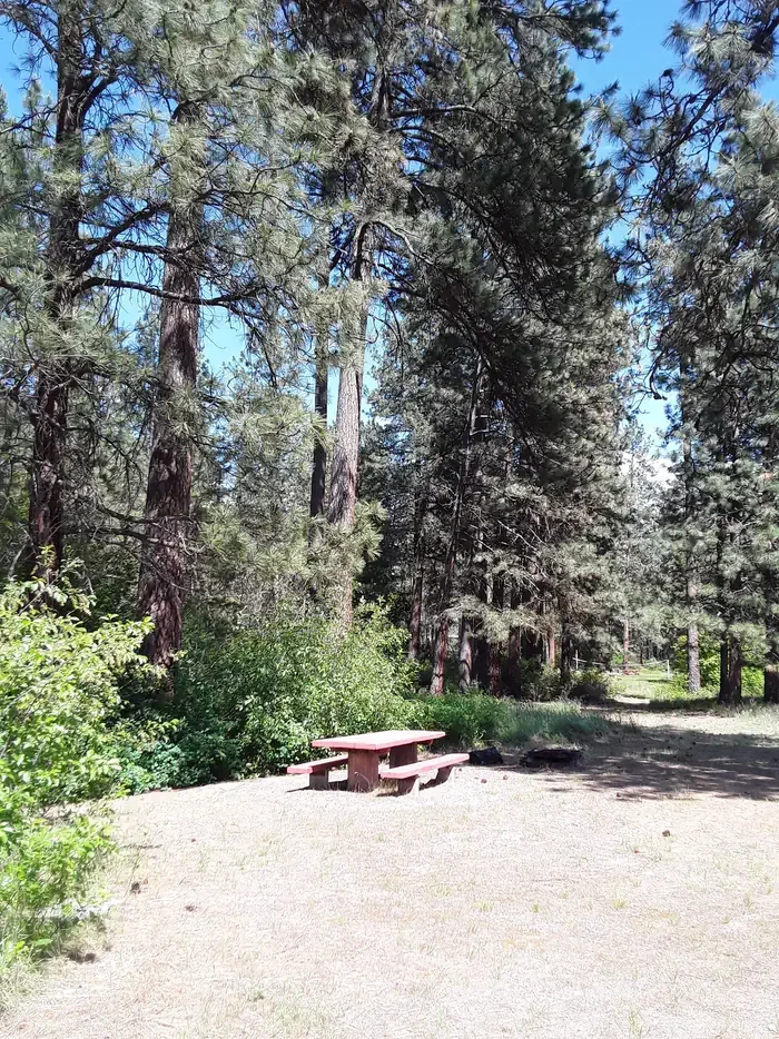 Sloway Campground (MT)