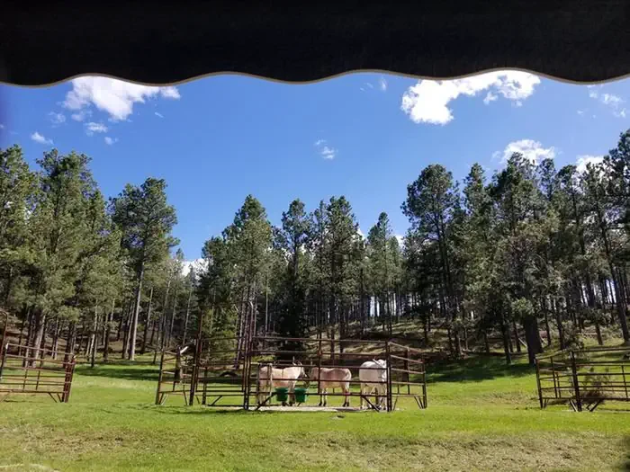 Iron Creek Horse Camp