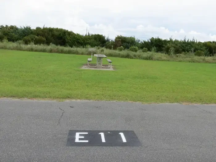 E011