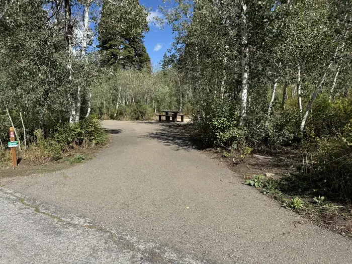 C26