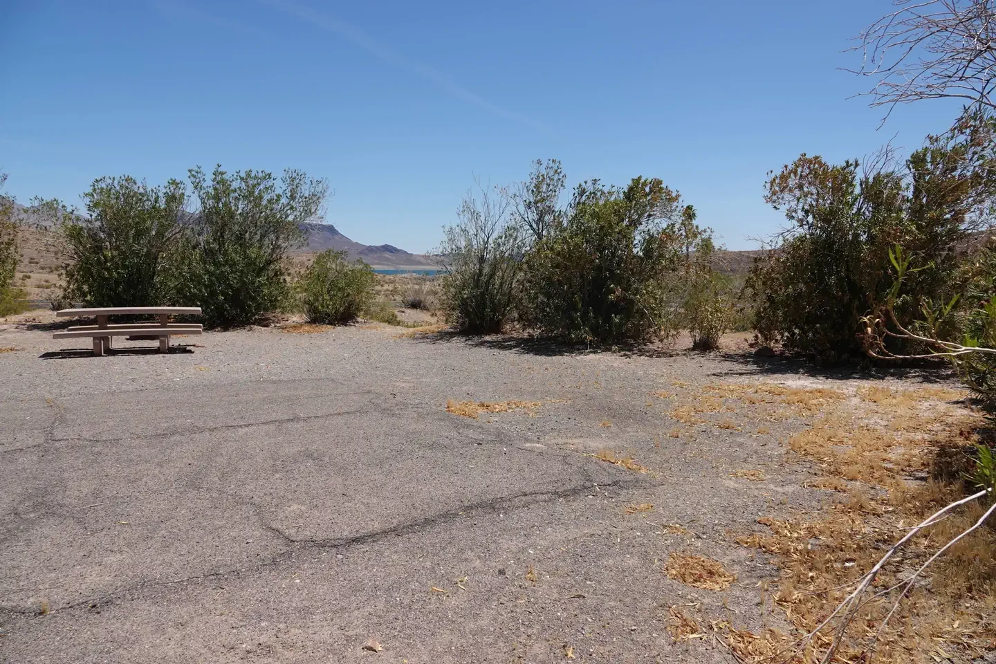 Site 29