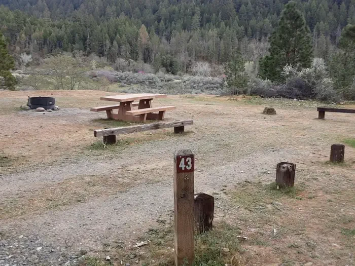 43