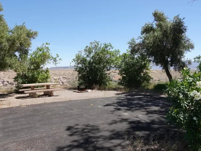 Site 31