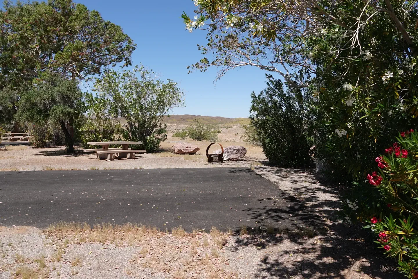 Site 48