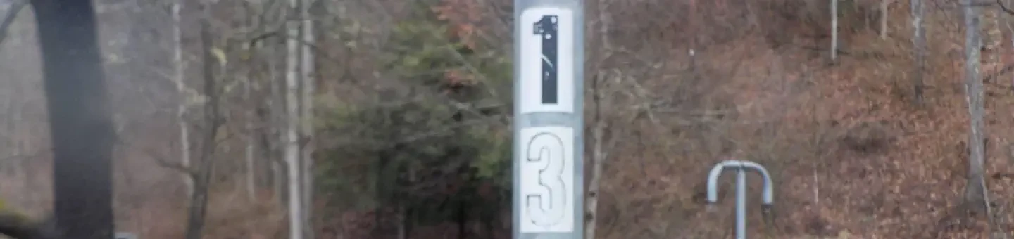 013