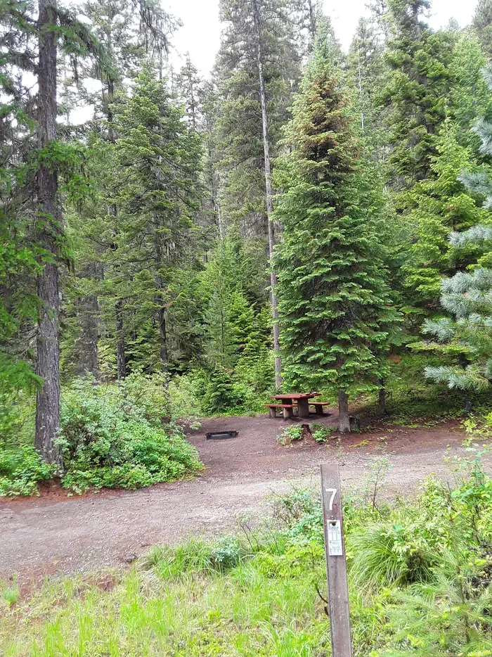 Cabin City Campground (MT)