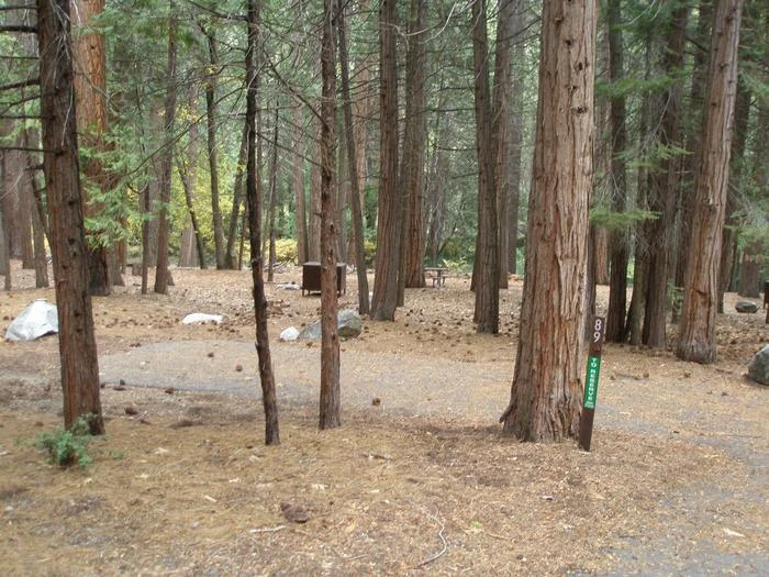 Site: 89