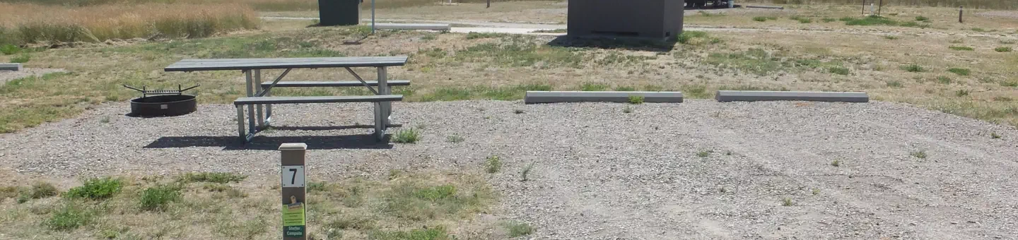 007
