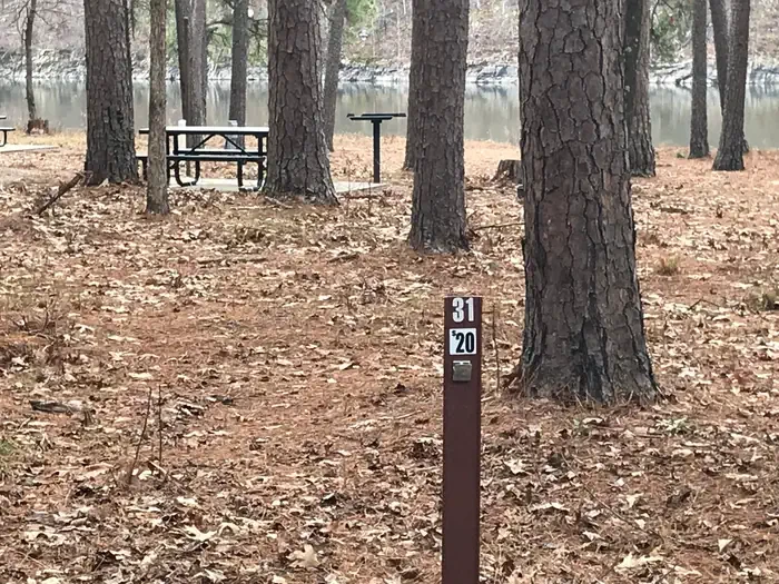 31