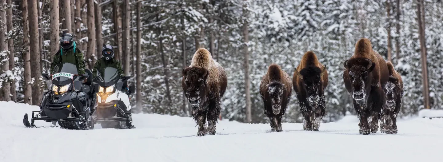 Yellowstone Non-Commercially Guided Snowmobile Access Program