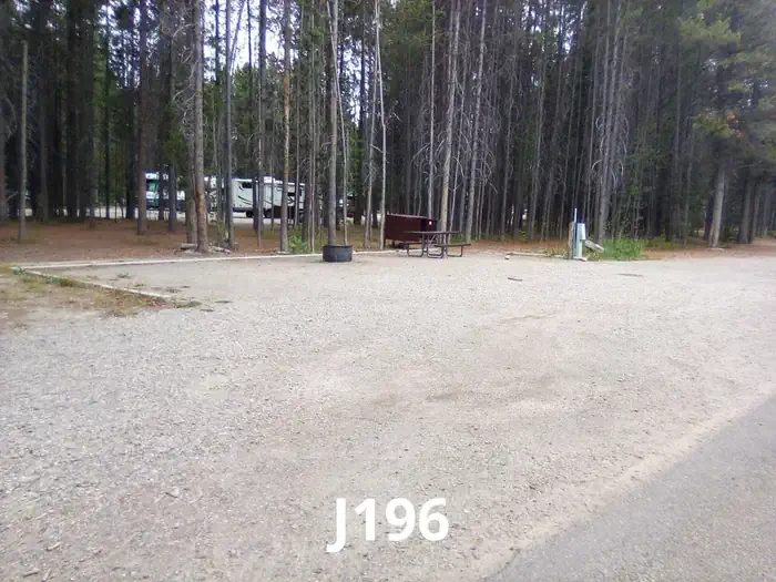 196