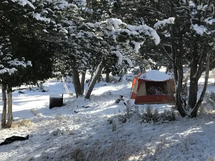 Mammoth Campground (Yellowstone)