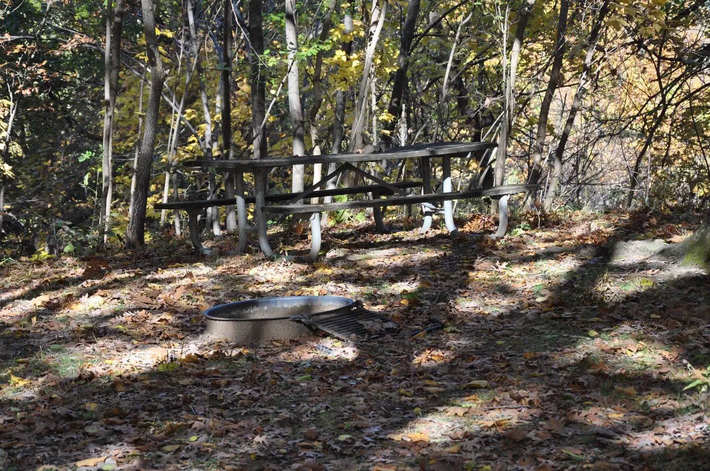 Group/Youth Site, 102