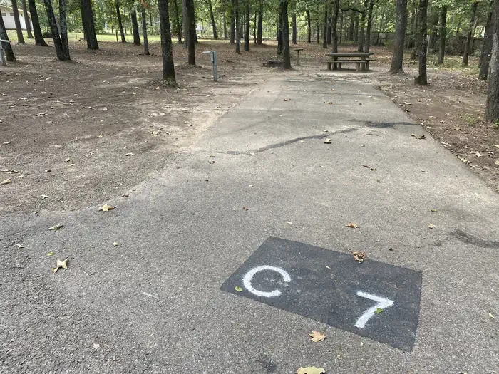 C07