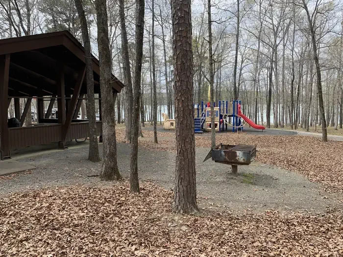 Devils Fork Shelter AM