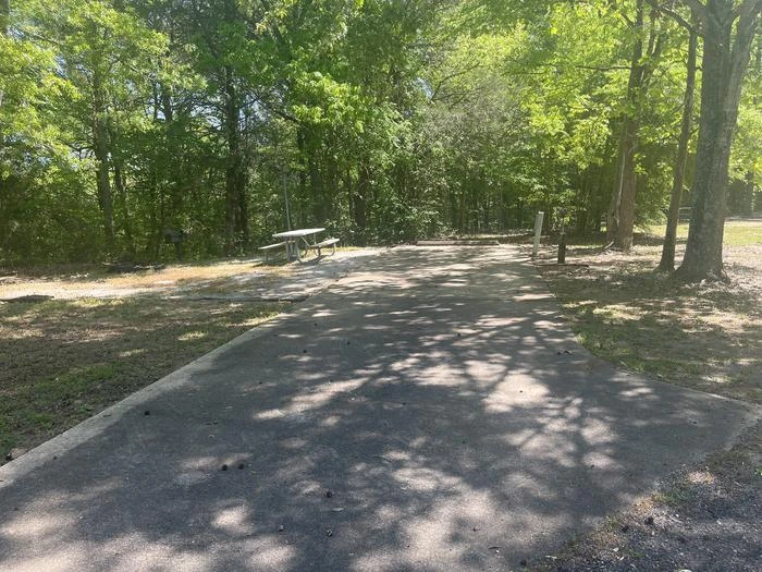 Site 2