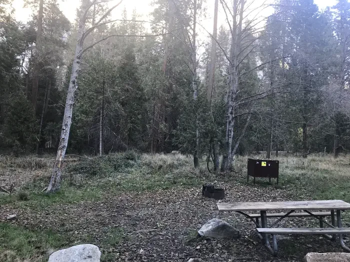 500